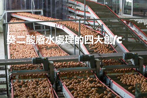 癸二酸廢水處理的四大創(chuàng)新技術(shù)，解鎖環(huán)保新思路？